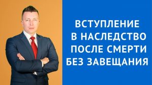 Подробнее о статье Как оформить наследство после смерти матери без завещания — с чего начать?