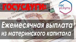 Подробнее о статье Как оформить ежемесячные выплаты из материнского капитала